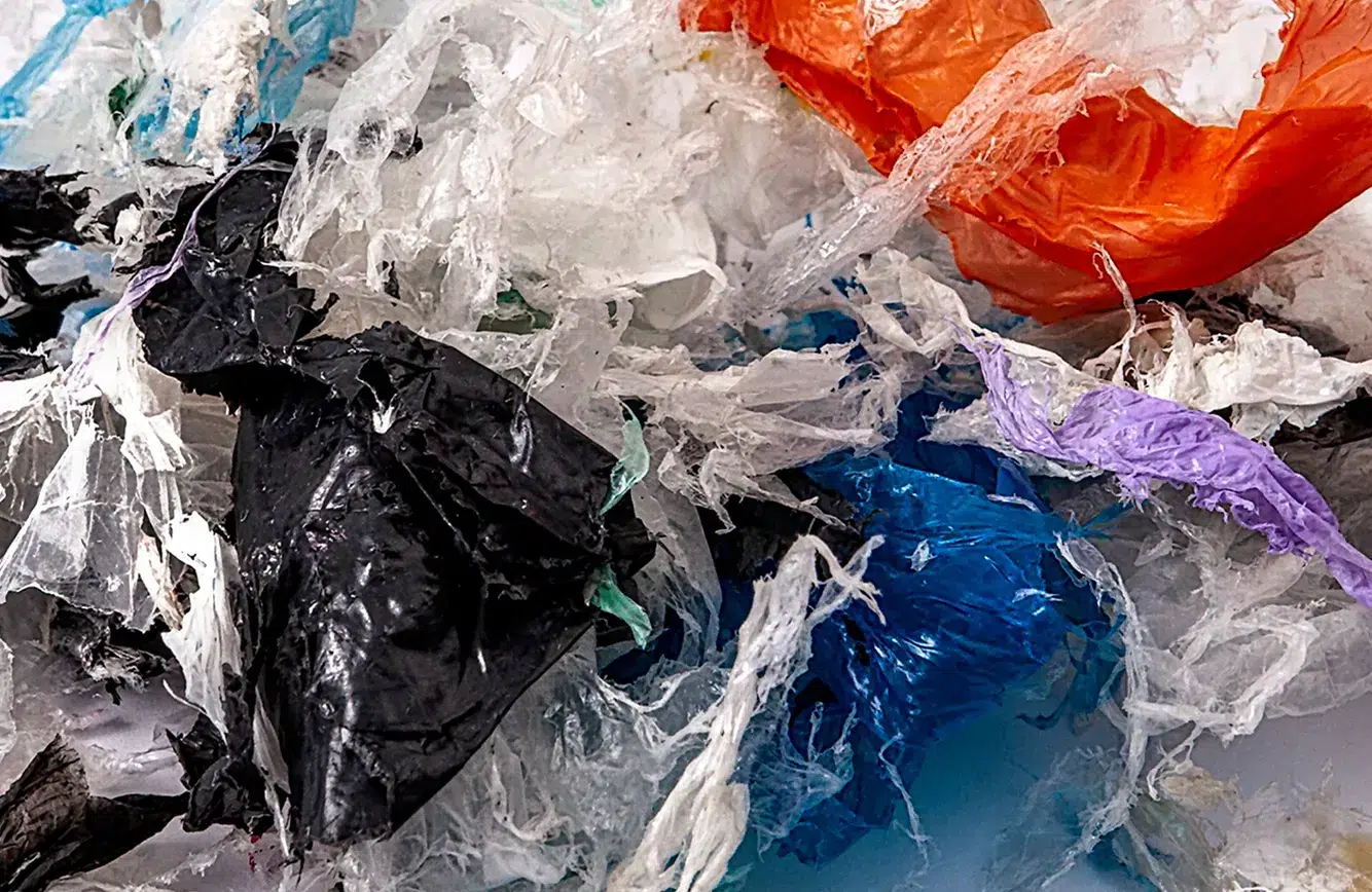 plastica prima GEM